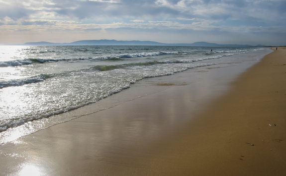 beach comporta