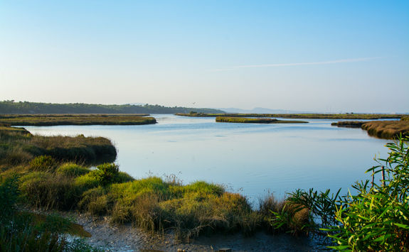 river comporta