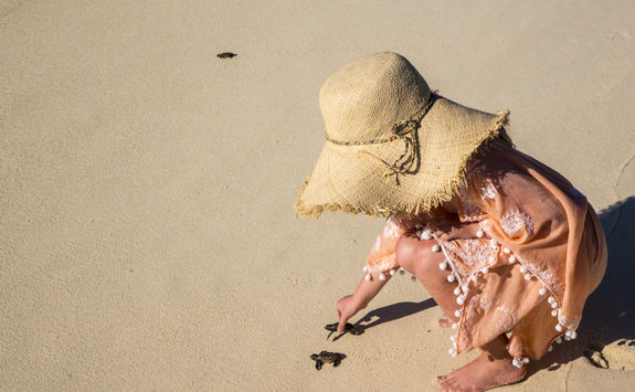 Little girl releasing a turtle on the beach