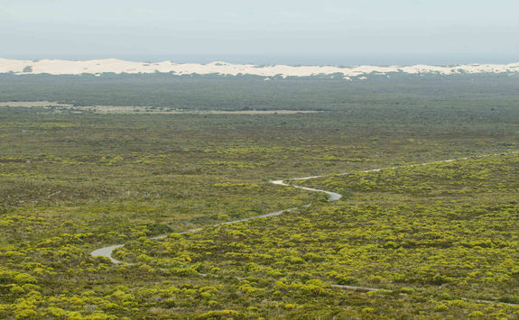 Desert dunes Hoop reserve