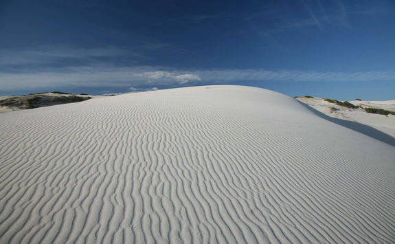 Sand dune Hoop reserve