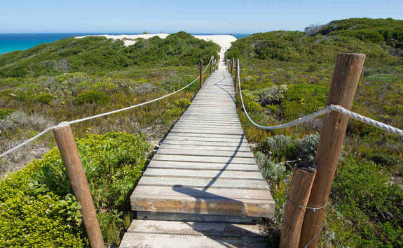 Wooden walkway Hoop reserve