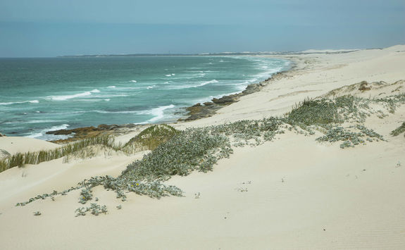 Beach De Hoop reserve