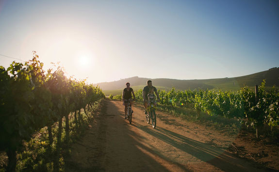 Family ride winelands