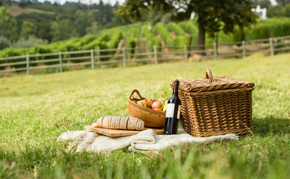 Picnic winelands