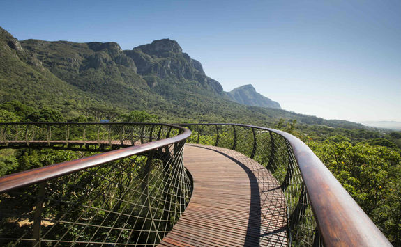 Botanical garden Kirstenbosch