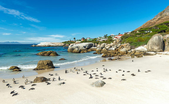 Boulders beach