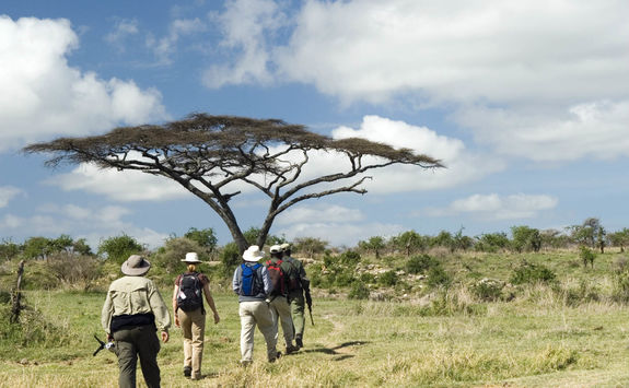 walking safari with guides