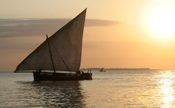 dhow saling boat