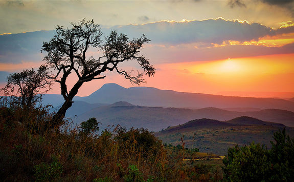 Sunset in the bush