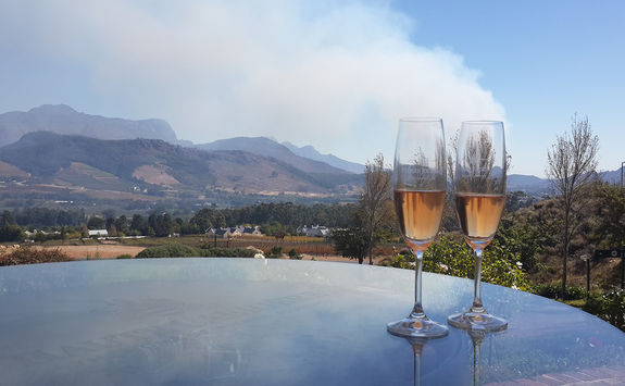 Wine glasses in Franschhoek