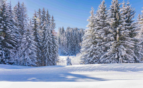 Landscape Megeve