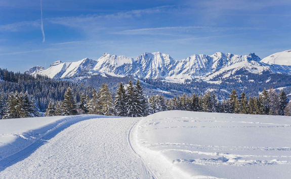 Landscape Megeve