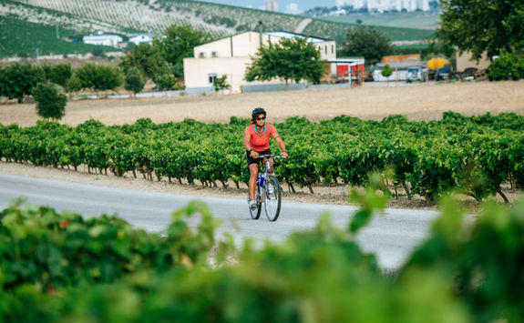 Woman riding bike