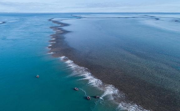 Montgomery reef low tide