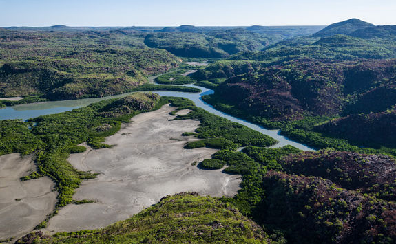 Aerial view mangrove