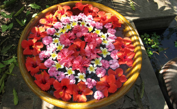 Flower decorations in Myanmar