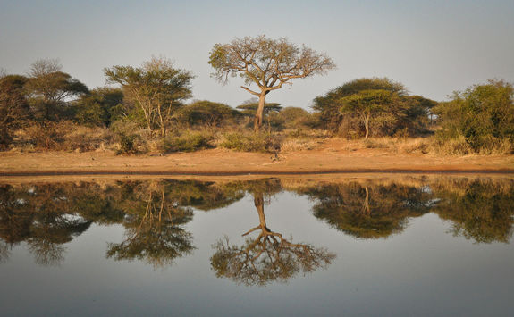 Limpopo Province