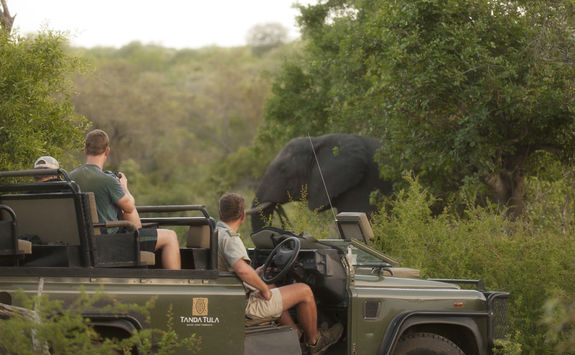 Spotting an elephant on a game drive