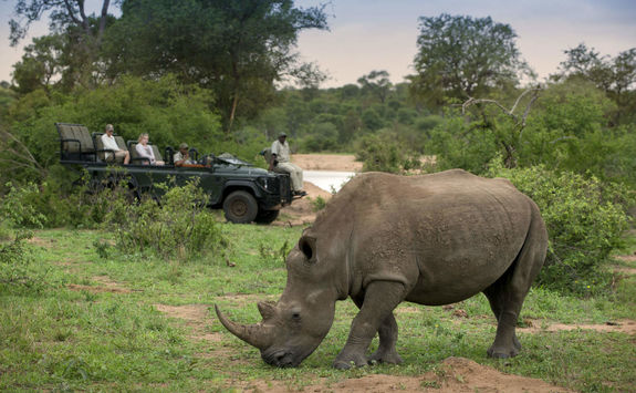 Tanda Tula game drive
