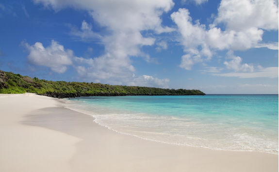 Sandy beach at gardner bay