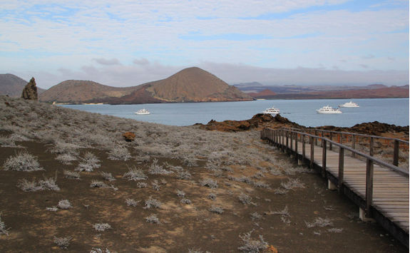 Bartolome island