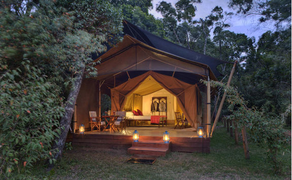 Elephant Pepper Camp exterior