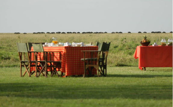 Breakfast with Wildebeest in the distance