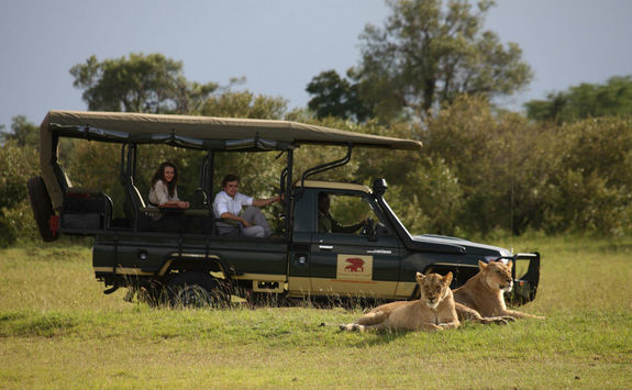 Game drive with lions