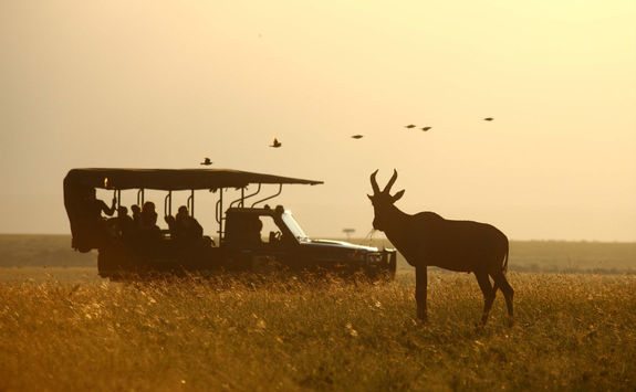 Masai Mara game drive