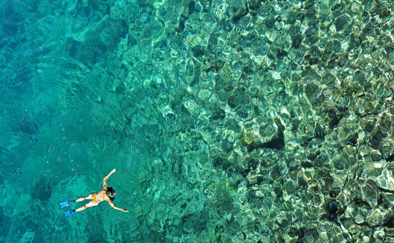 Reef snorkelling in Zanzibar