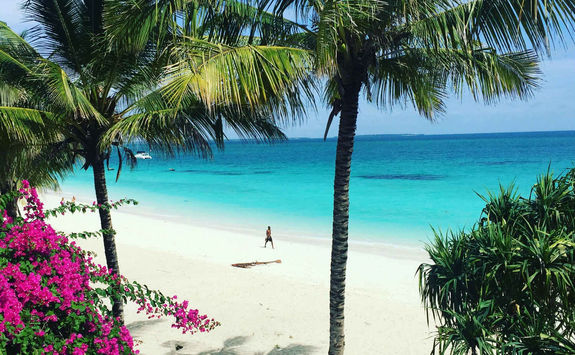 Beach at Zuri Zanzibar