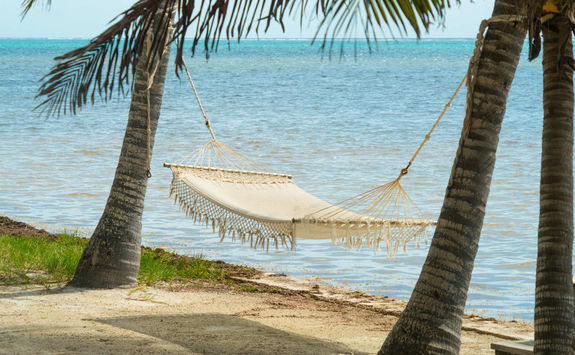 Hammock on a beach