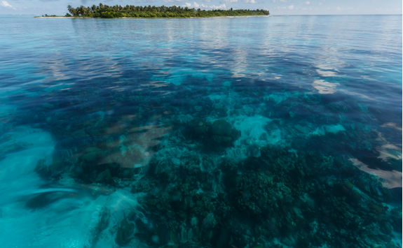Hol Chan Marine Reserve