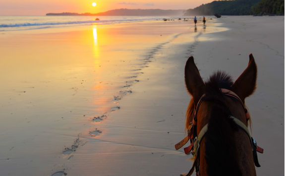 Horseriding on a beach at sunset