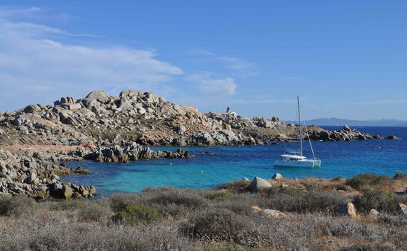 Lavezzi islands