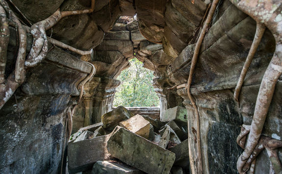 Tree roots breaking through an archway