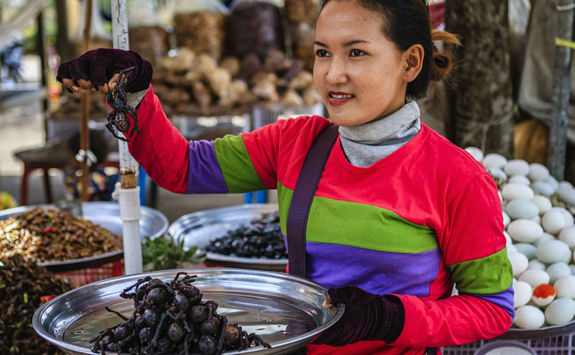 Cambodian woman selling deep fried insects and tarantulas