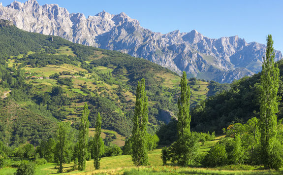 Picos de Europa landscape