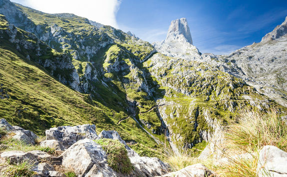Naranjo de Bulnes