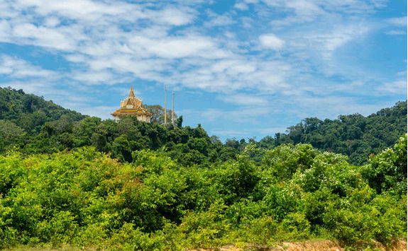 Roof inside the forest in Kep