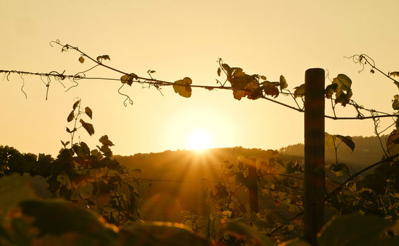 Douro sunset