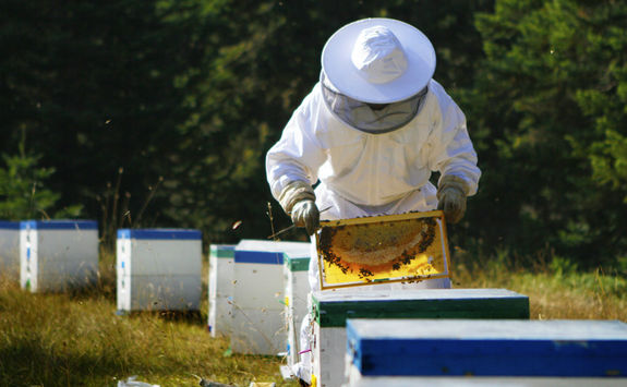 Beekeeper