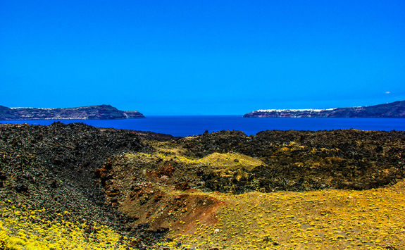 Santorini volcano flora