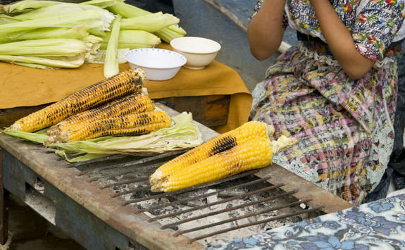 Guatemalan corn