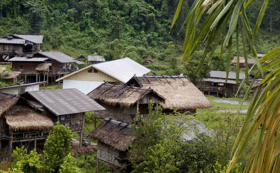 wooden houses