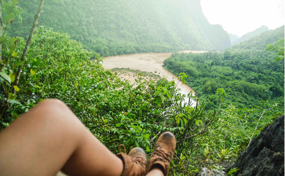on the top tropical forest