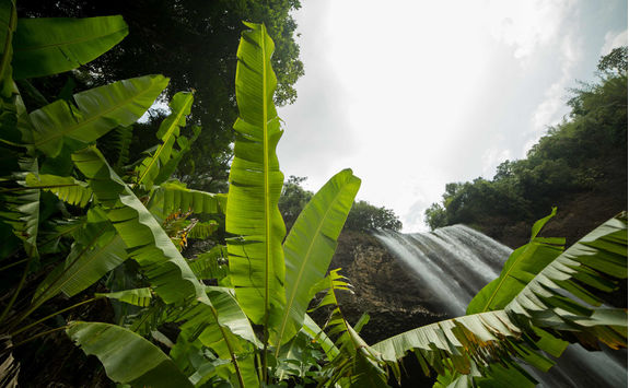 waterfall in laos and tropical forest