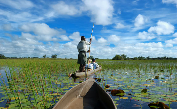 Canoeing in the Okavango Delta