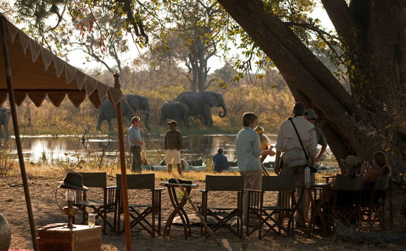 Selinda Explorers elephants